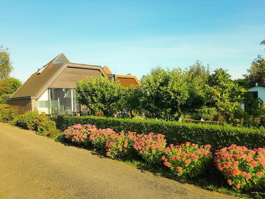 Lovely House Till 6 P. Near Amsterdam, Sea Apartman Opmeer Kültér fotó